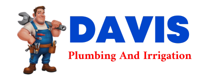 Trusted plumber in VAN VLEET